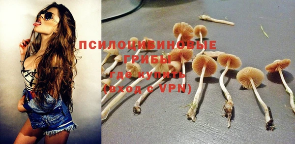 дживик Абаза