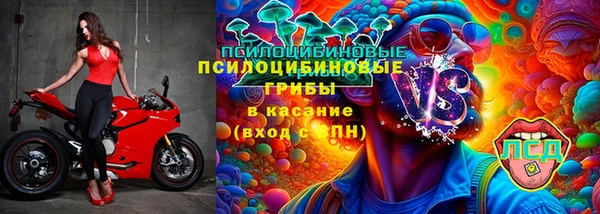 дживик Абаза