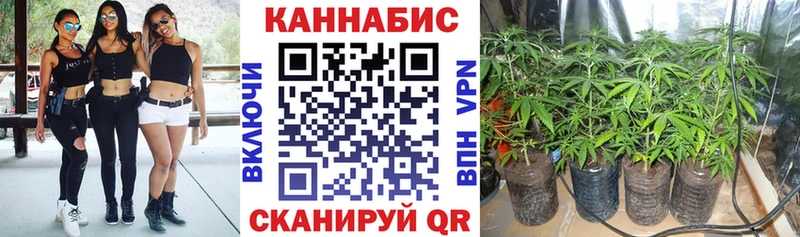 купить  цена  Благовещенск  Шишки марихуана THC 21% 